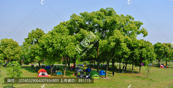 辰山植物園