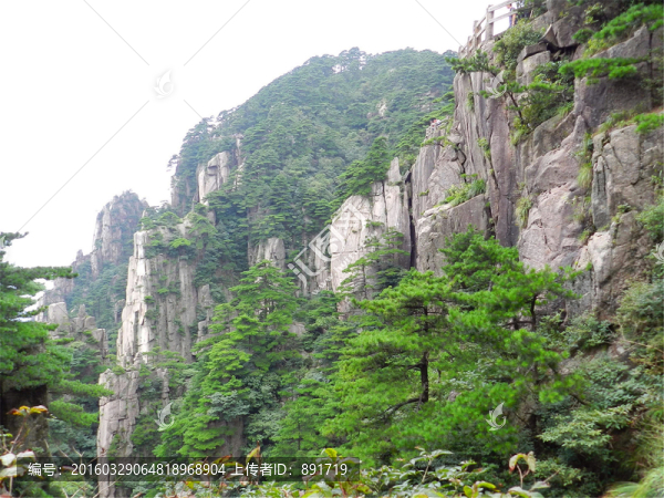 黃山