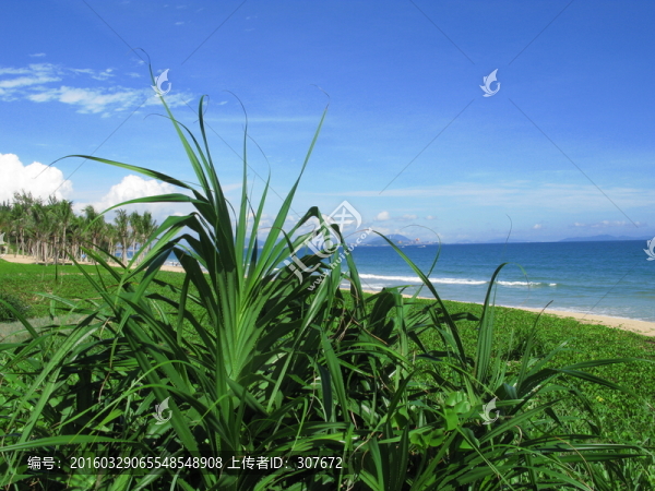 海邊