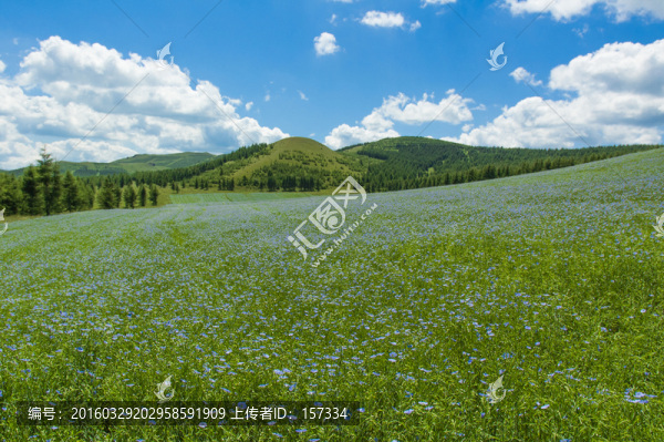 草原風(fēng)光