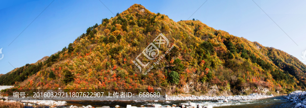 紅葉,全景