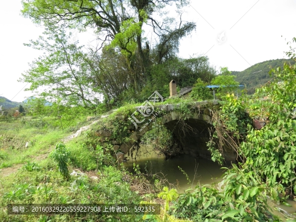 石橋