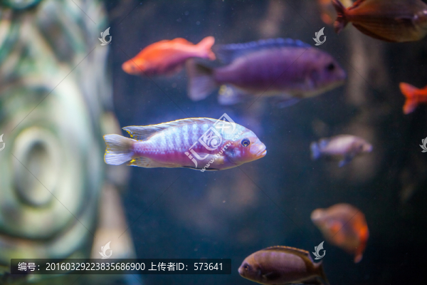 海底世界