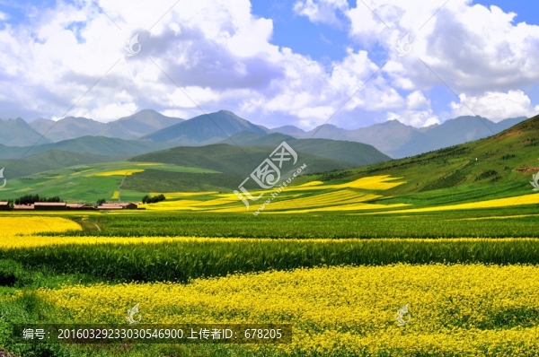 門源有吃