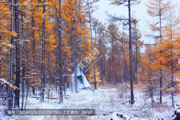 森林獵鄉(xiāng)秋雪
