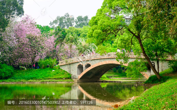華南植物園風景