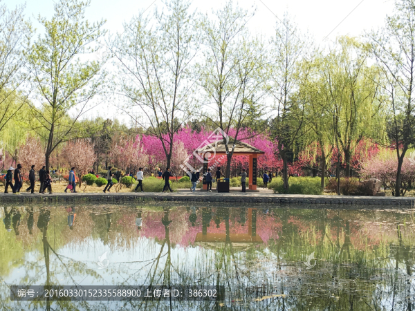洛陽隋唐遺址植物園