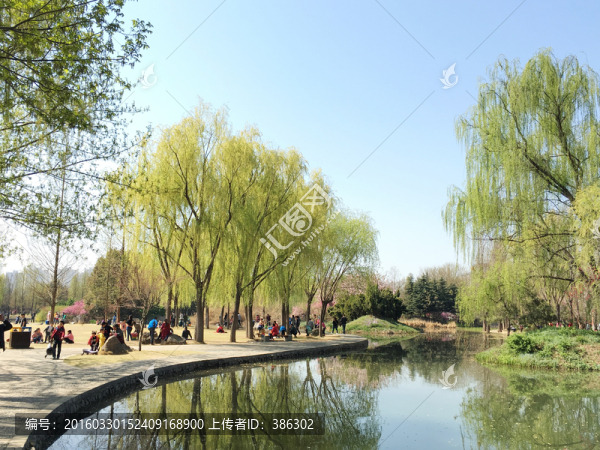 洛陽隋唐遺址植物園