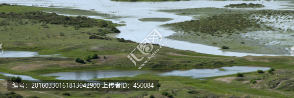 草原濕地