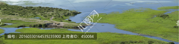 草原濕地
