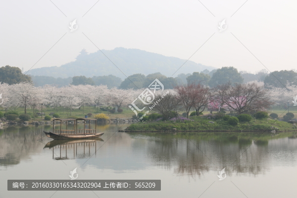 櫻花園風(fēng)景
