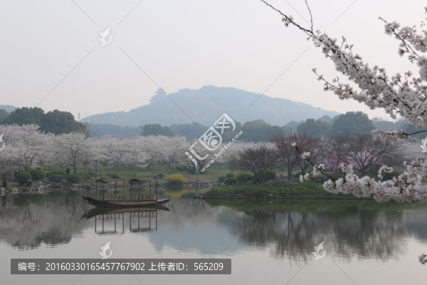櫻花園風(fēng)景
