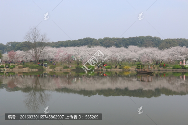櫻花園風(fēng)景