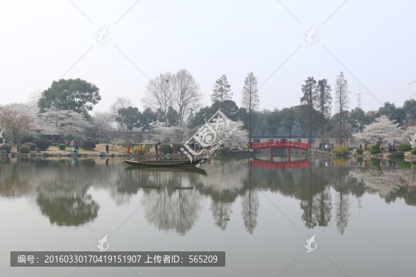 櫻花園風(fēng)景