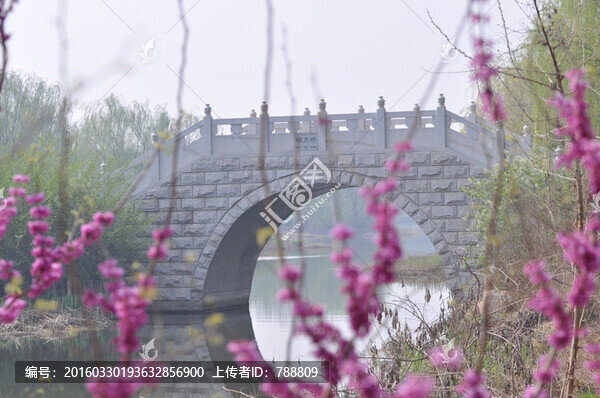 橋