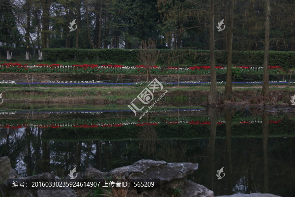武漢植物園風(fēng)景