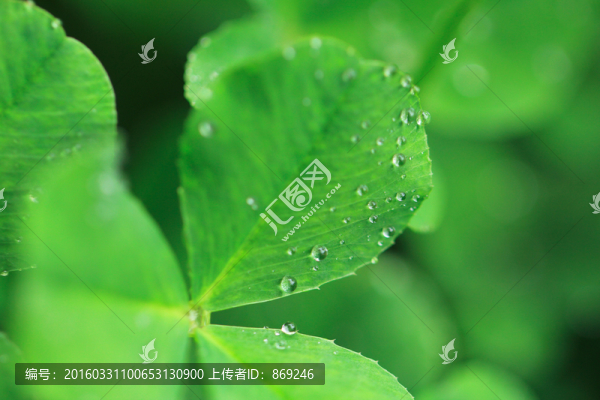 水珠
