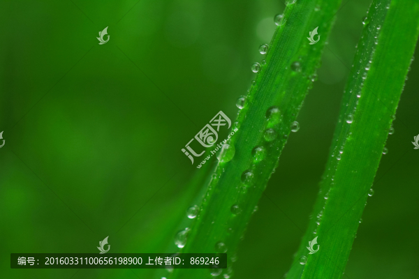 水珠