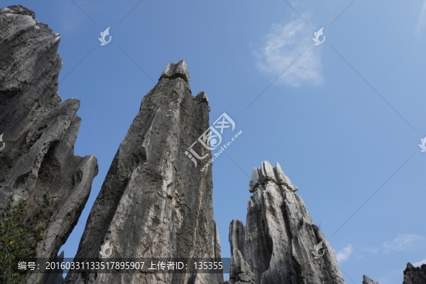 石林
