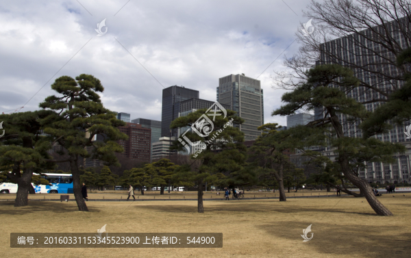 皇居廣場