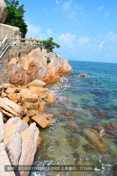 海岸