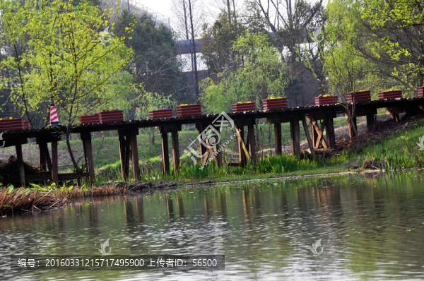 西溪濕地公園