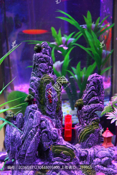 生態(tài)水族館