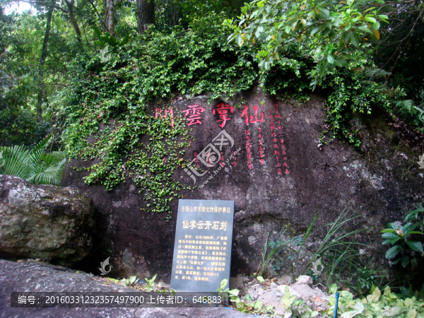 仙掌云開(kāi)雕刻