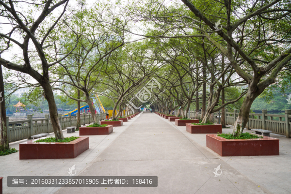 綠蔭路