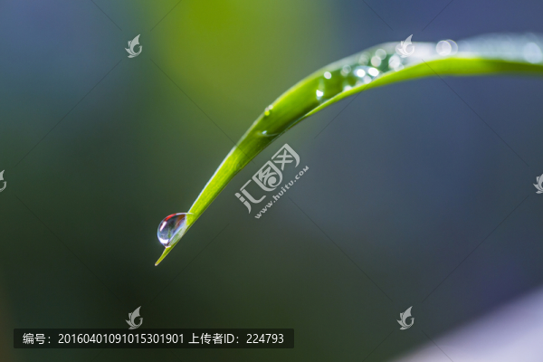 葉尖上的水珠