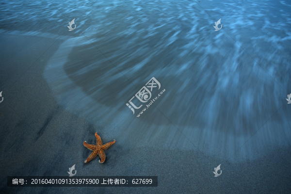 海浪沙灘海星