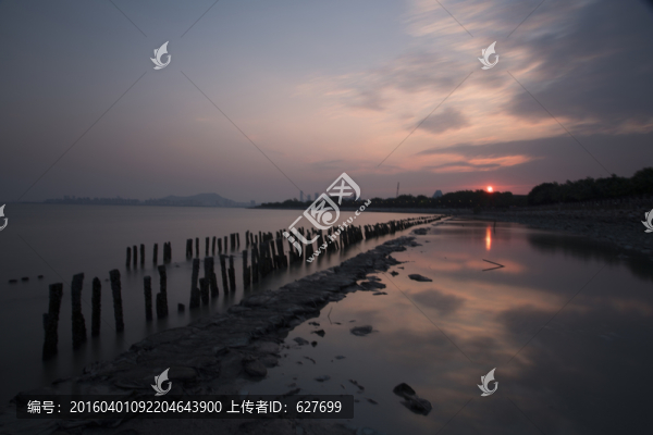 紅樹(shù)林日落