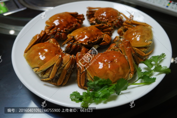 螃蟹