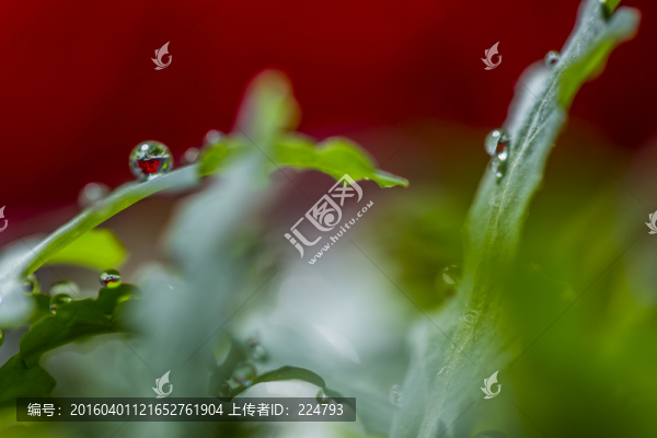 小水珠大乾坤
