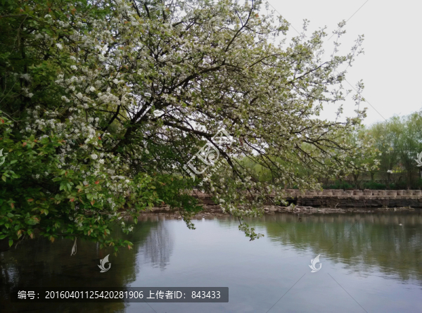 風(fēng)景