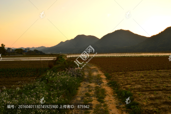 田園風(fēng)光