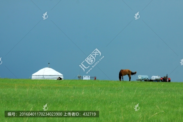 夏季草原牧場蒙古