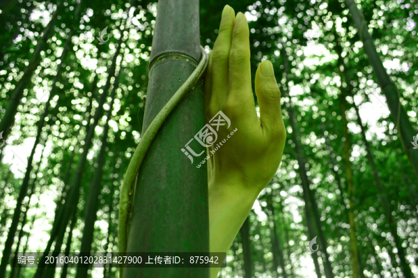 手