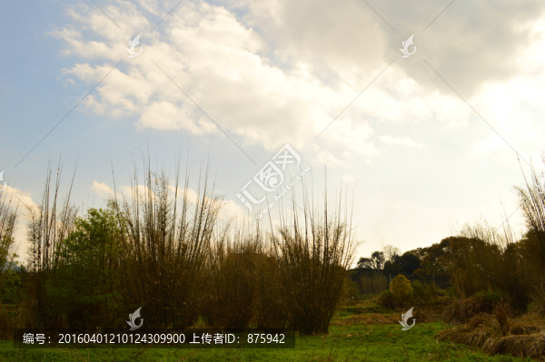 天空