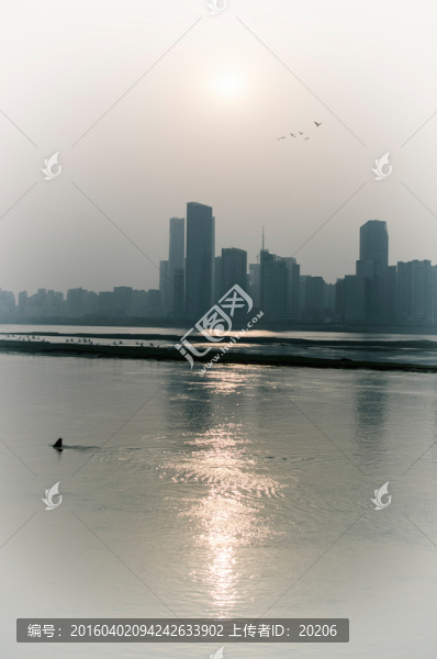 寫意贛江,南昌風光