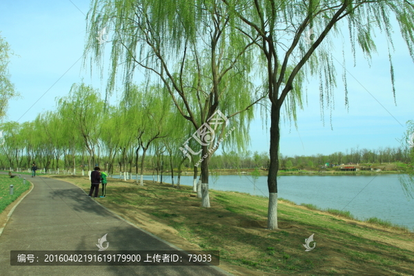 林蔭道