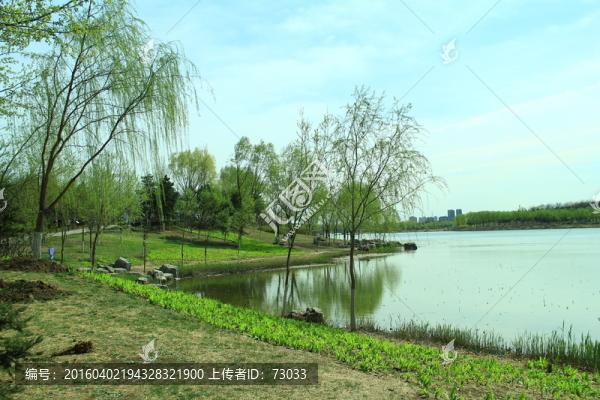 濕地公園