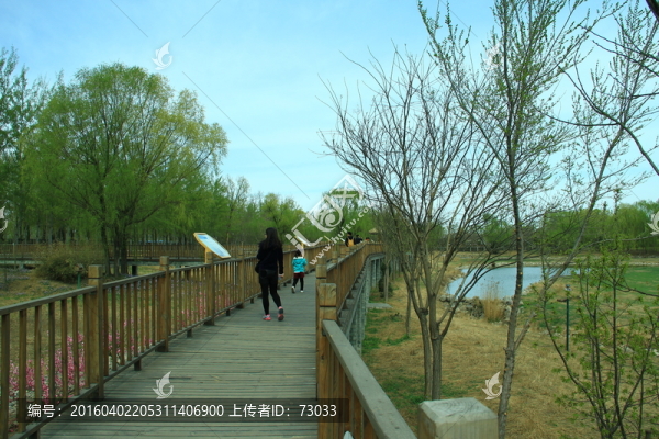 木橋