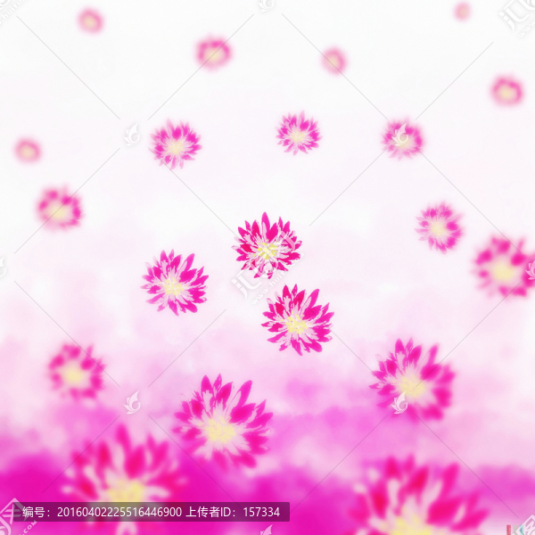 玫瑰紅花瓣底紋
