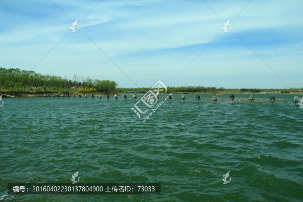 早春湖景