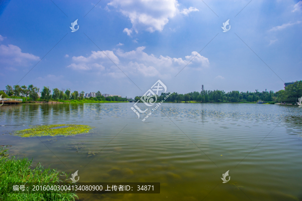 廣闊的湖面