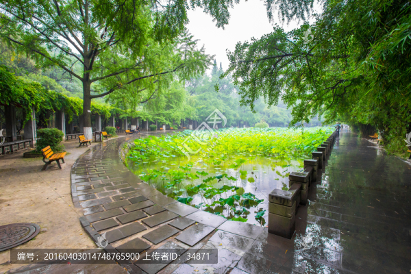 四川大學風光