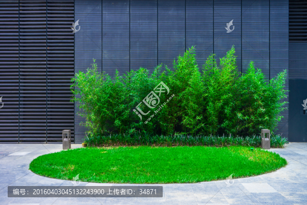 綠色植物景觀墻