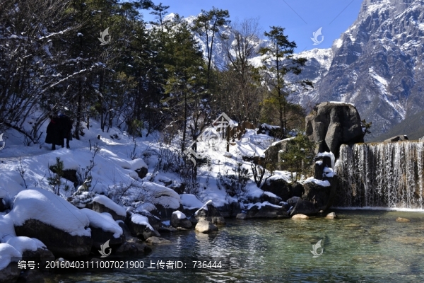 雪地