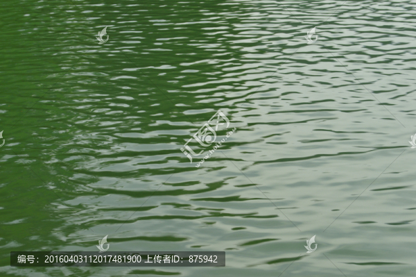 水波紋